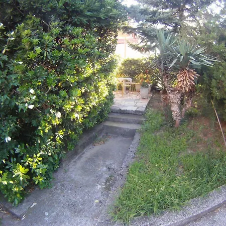Salona Suite