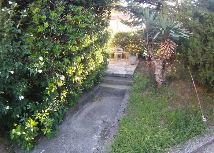 Salona Suite